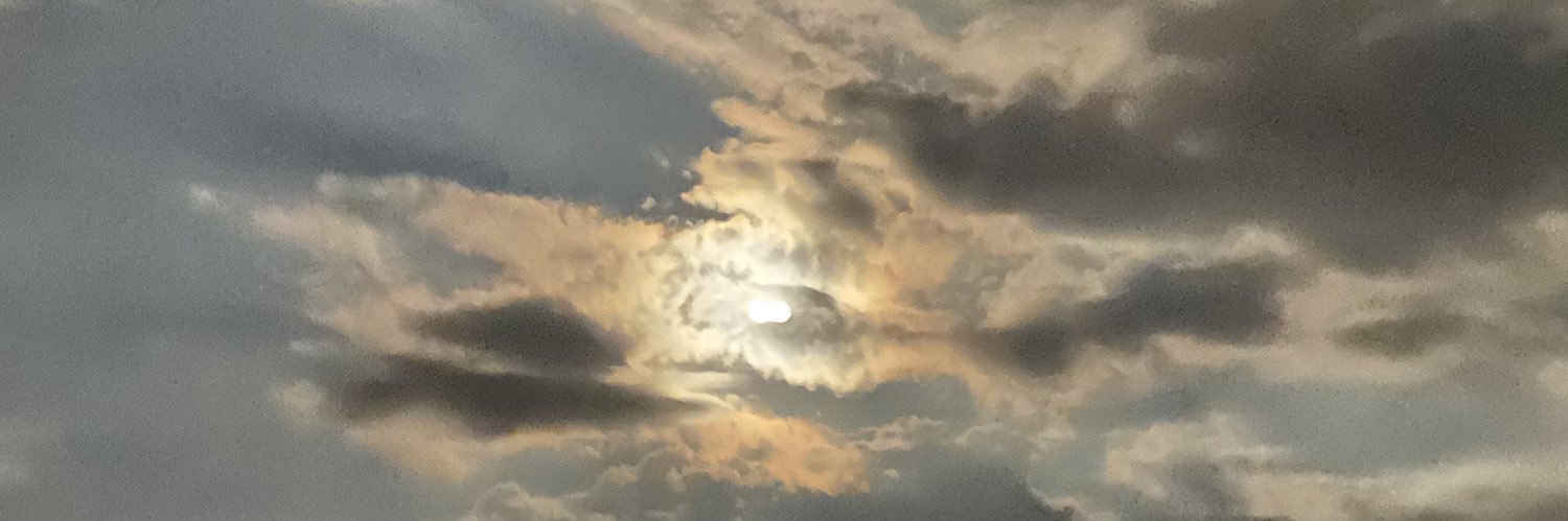 vlaeira__'s profile banner image