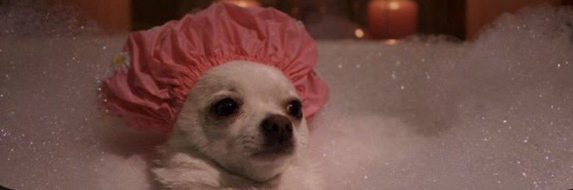 whatthehail 🍒 banner