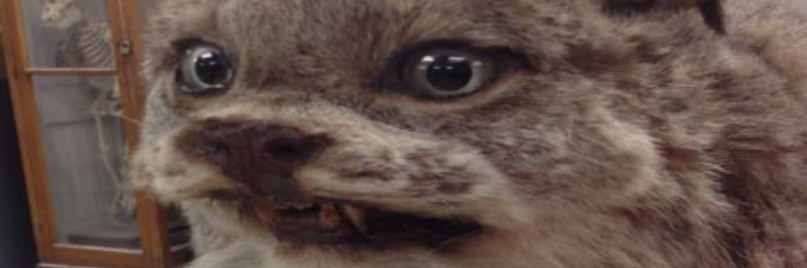 itsezzaa's profile banner image