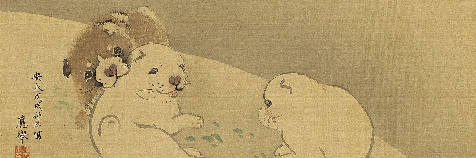かるけん banner