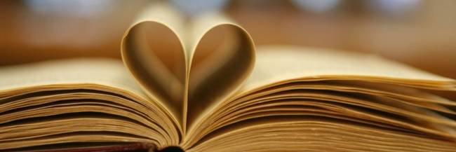 Lucy @ Bookworm Blogger banner