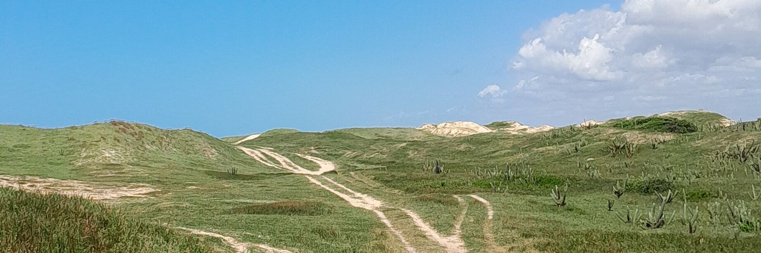 milknaboca's profile banner image