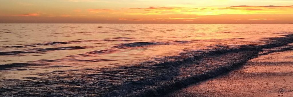 FrancescaBaffi's profile banner image