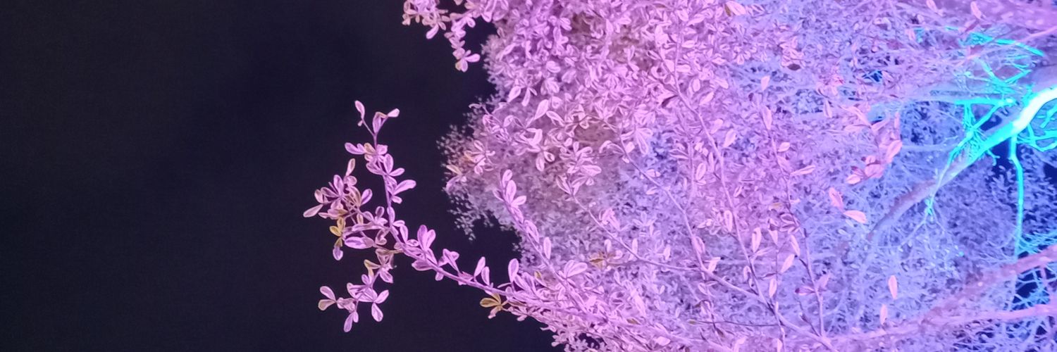 Shaa_aaaa's profile banner image