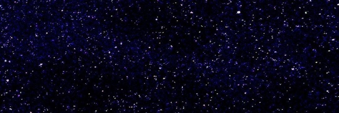 Riddhi Jangid banner