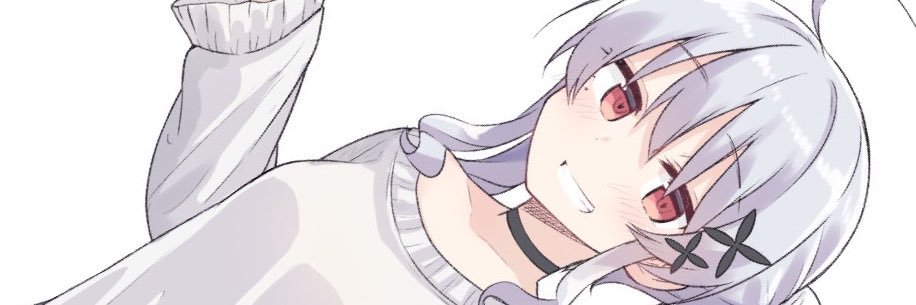ho_raidoll_9's profile banner image