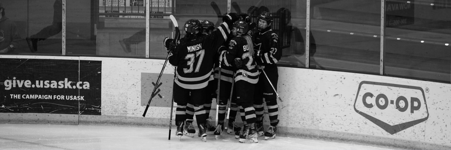 brielle minish banner