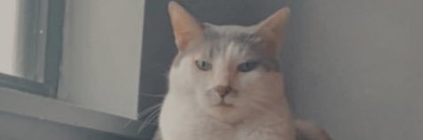 Kybriannee's profile banner image