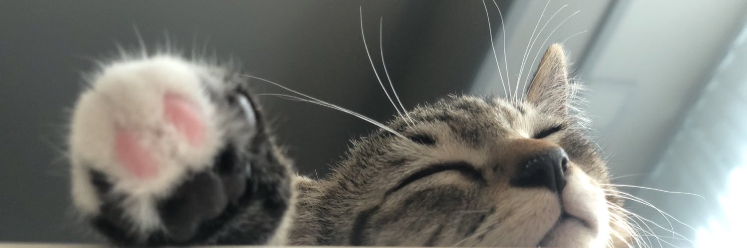 _maybe_so's profile banner image