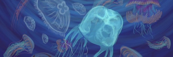 npicciani Profile Banner