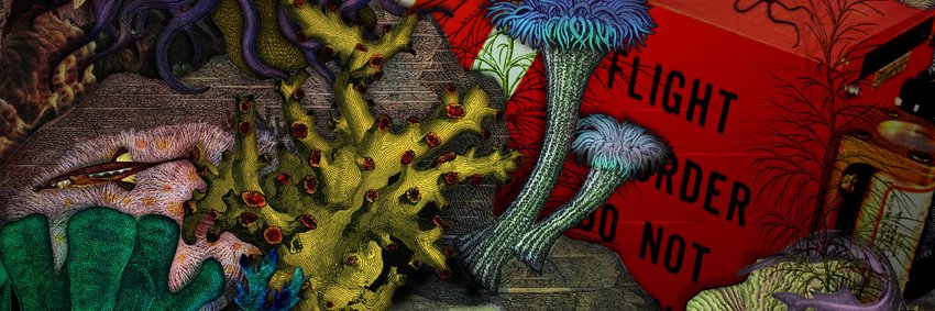 Paul Thirkell banner