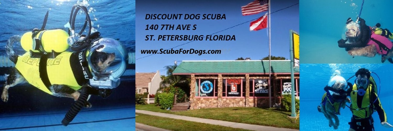 Discount Dog Scuba banner
