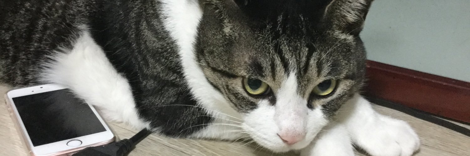 신이호🕯 banner