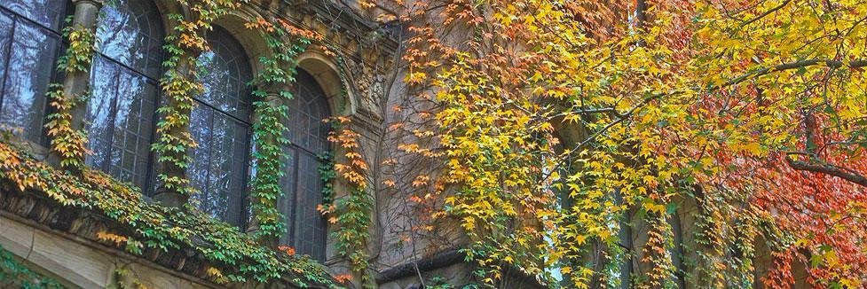 Yale Interdisciplinary Center for Bioethics banner
