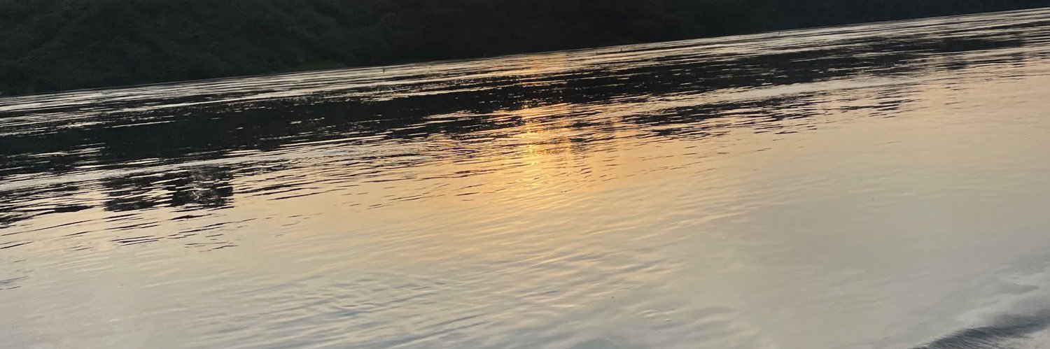 malasharobert's profile banner image