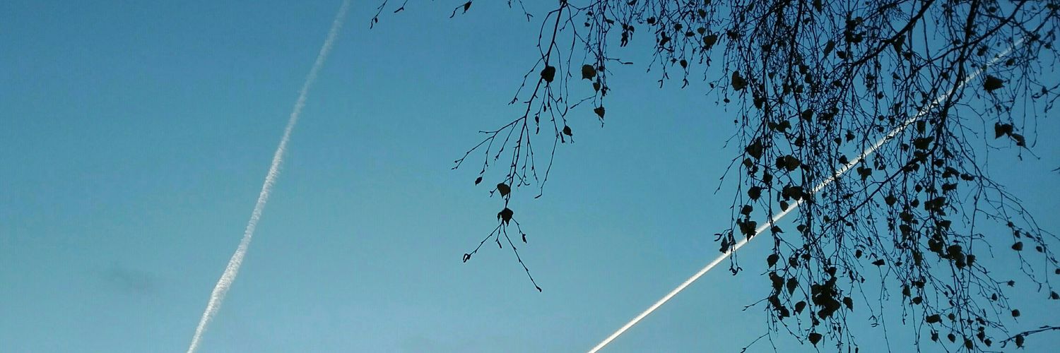 t_tuulas's profile banner image