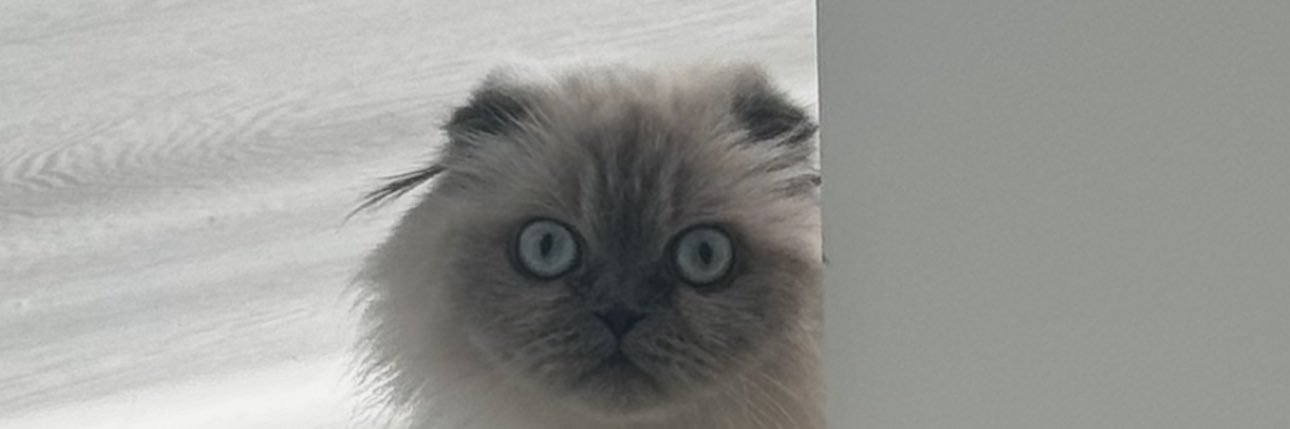 lullabyylex's profile banner image