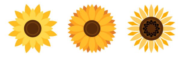 belilula_'s profile banner image