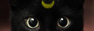 jozoHandoko's profile banner image