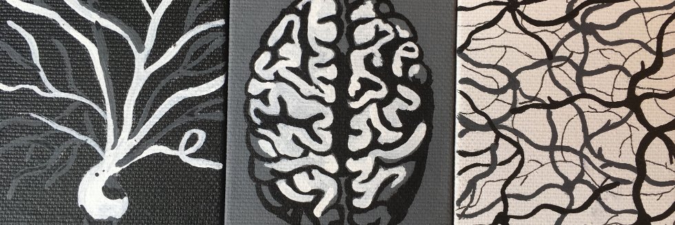 Alicia Guemez-Gamboa banner