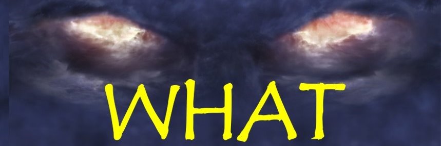 Anne Penn banner