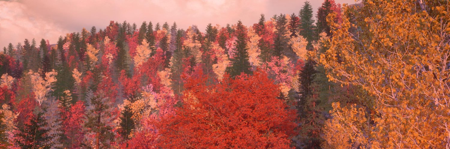 zivasbenson's profile banner image