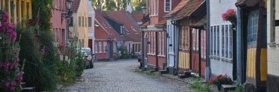 Elis Gliesch🇧🇷🇩🇪🇩🇰🇵🇾 banner