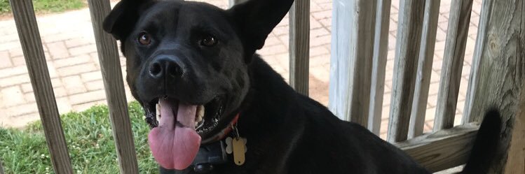 BrieMartin3's profile banner image