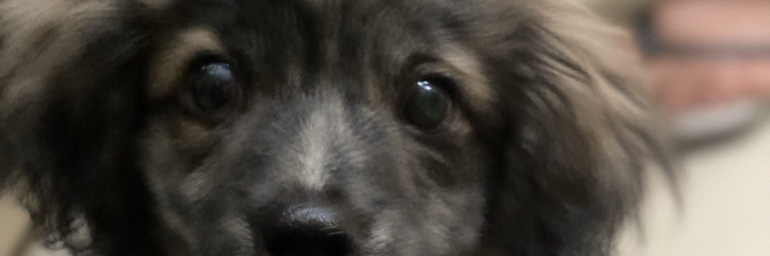 cgomezm_'s profile banner image