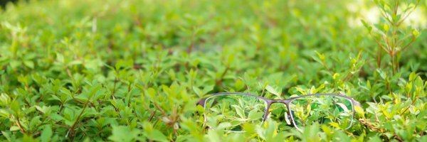 nekotatsu20 Profile Banner