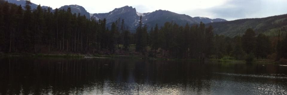 whitneyrenshaw's profile banner image