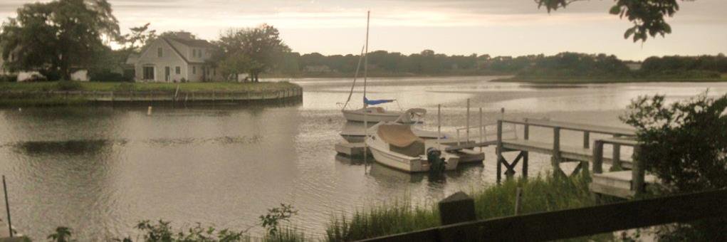 Dennis Serpone banner