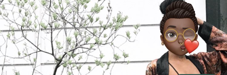 Pepe Silvia banner