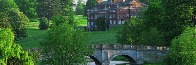 Sharon Beverly-Ruff banner
