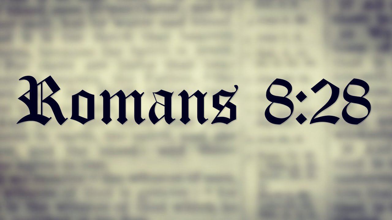 Iamchesz's profile banner image