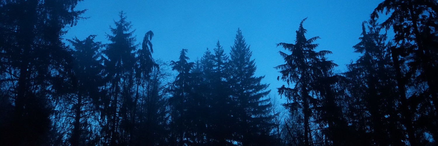 LukeBluGuthrie's profile banner image