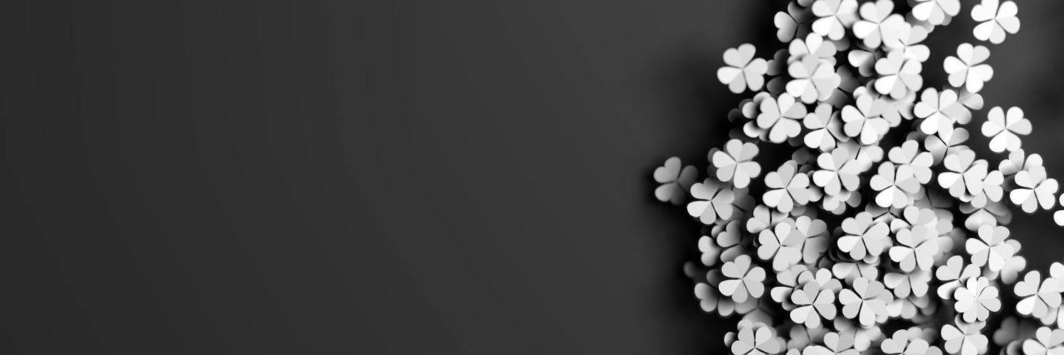 BzkrtCeren's profile banner image