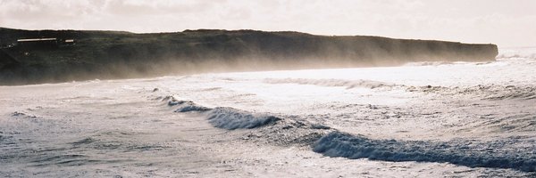 CeciliaM_MD Profile Banner