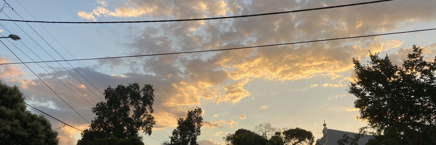 sir feelsalot banner