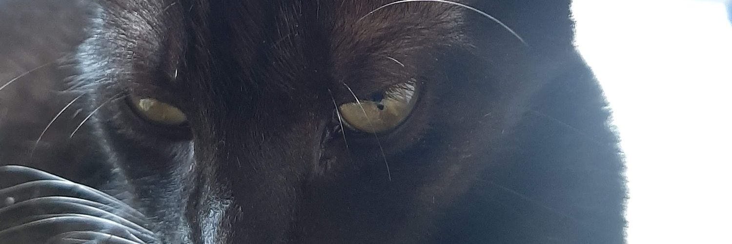 Beto Gonçalves✊🏽✊🏽✊🏽 banner