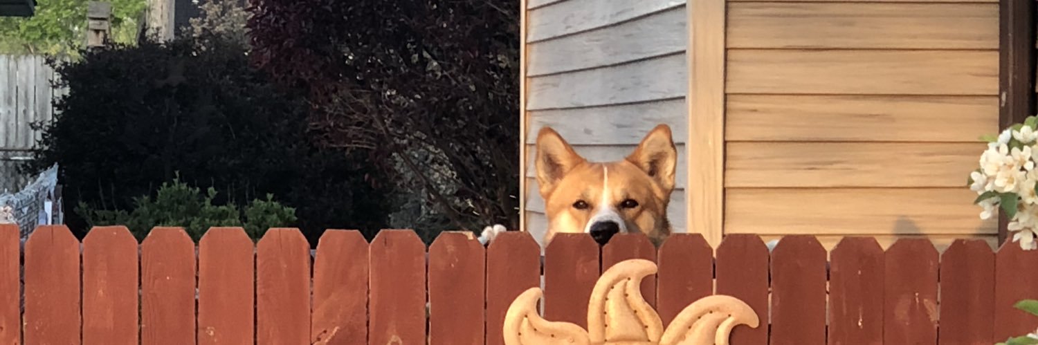 timjensen01's profile banner image