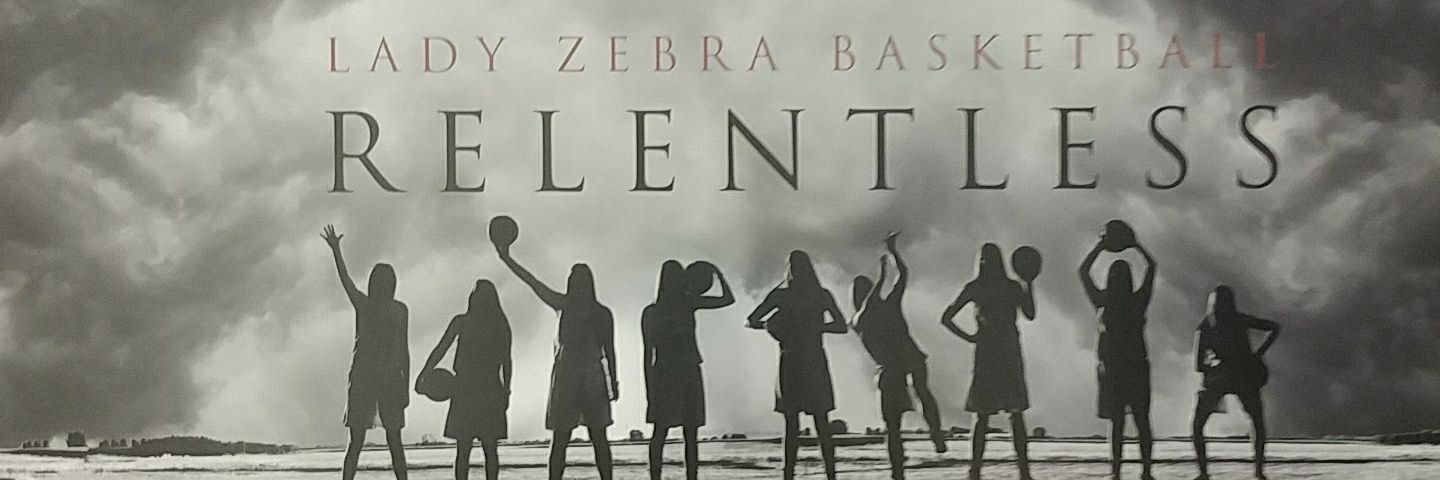 ZebraNinjas's profile banner image