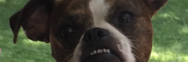 Cam_Lyons_'s profile banner image