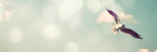 b9mtee's profile banner image