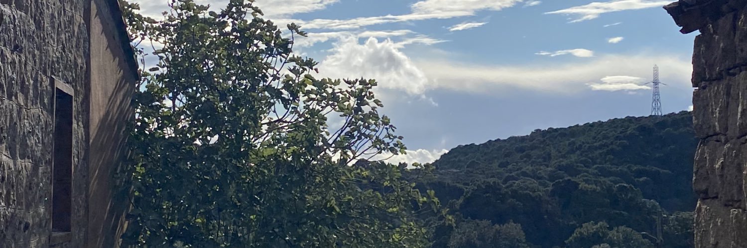 Alexandra Louis banner