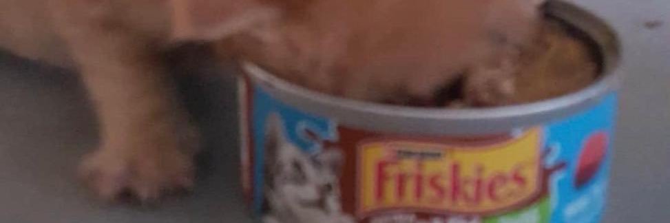 agentandres's profile banner image