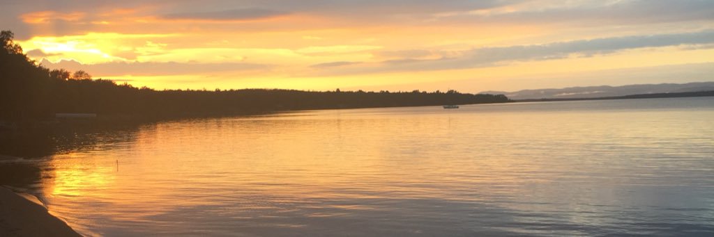Gfish49's profile banner image