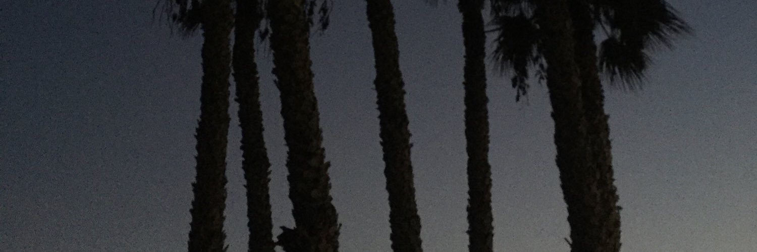 carmenmengii's profile banner image