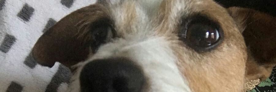 stephenlightfo1's profile banner image