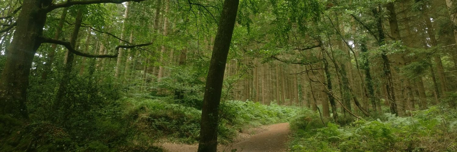 tosin_94's profile banner image